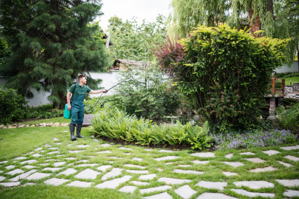 Best Mosquito Control Services  in Contra Costa Centre, CA