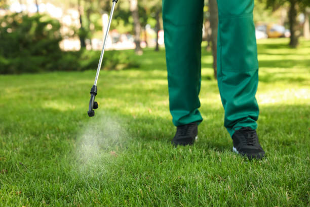Best Residential Pest Control  in Contra Costa Centre, CA