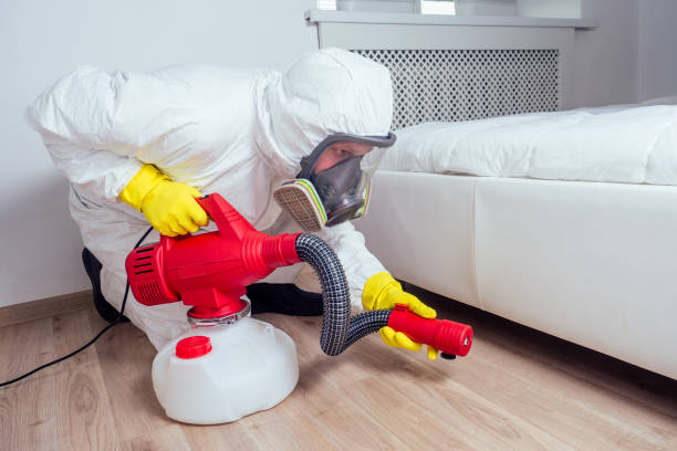 Best Pest Control Near Me  in Contra Costa Centre, CA