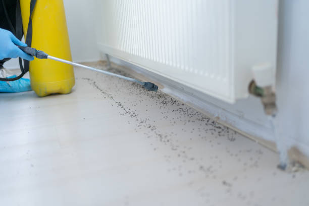 Best Emergency Pest Control  in Contra Costa Centre, CA