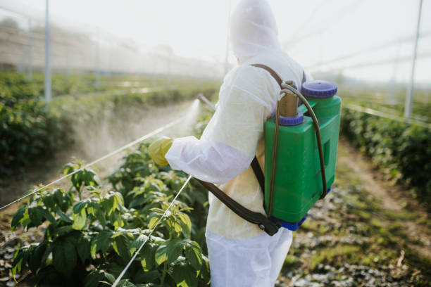 Best Cockroach Control Services  in Contra Costa Centre, CA